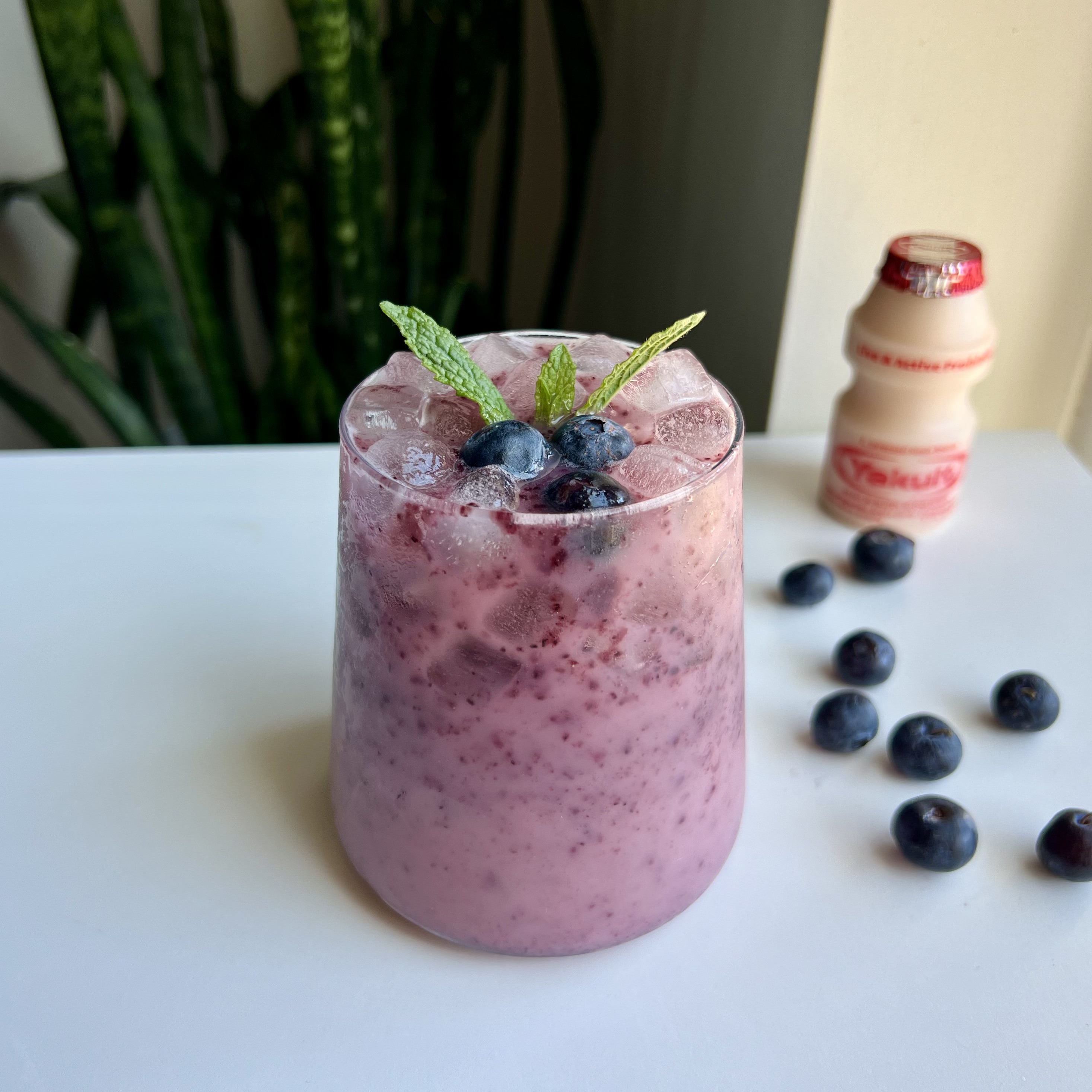 Blueberry Yakult Recipe