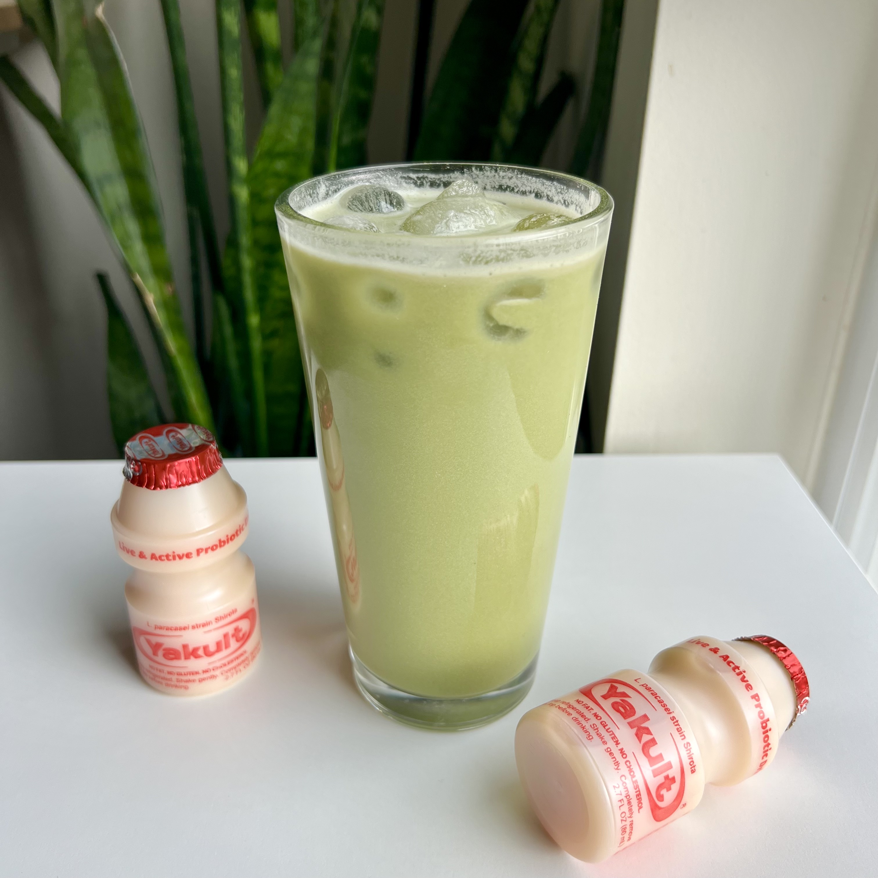 Matcha Yakult Protein recipe